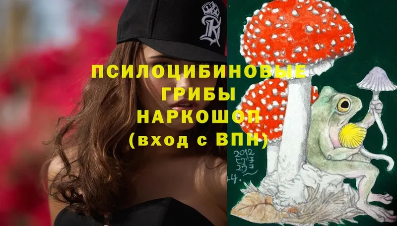 Галлюциногенные грибы Psilocybine cubensis  shop официальный сайт  Беслан 